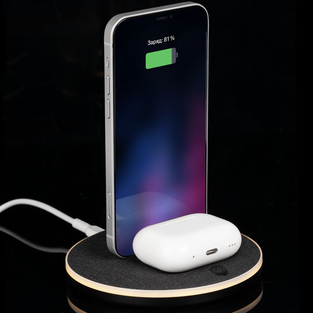 Универсальная зарядная станция Power Canvas, черная в Челябинске